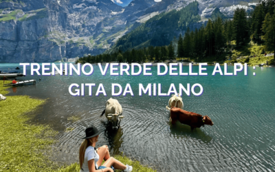 Trenino Verde delle Alpi: un’escursione indimenticabile da Milano